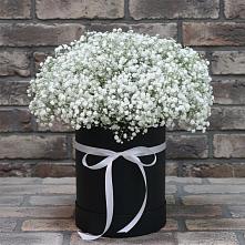 Цветочная композиция из Гипсофила в шляпной коробке #REPLACE_PRED# Усадище